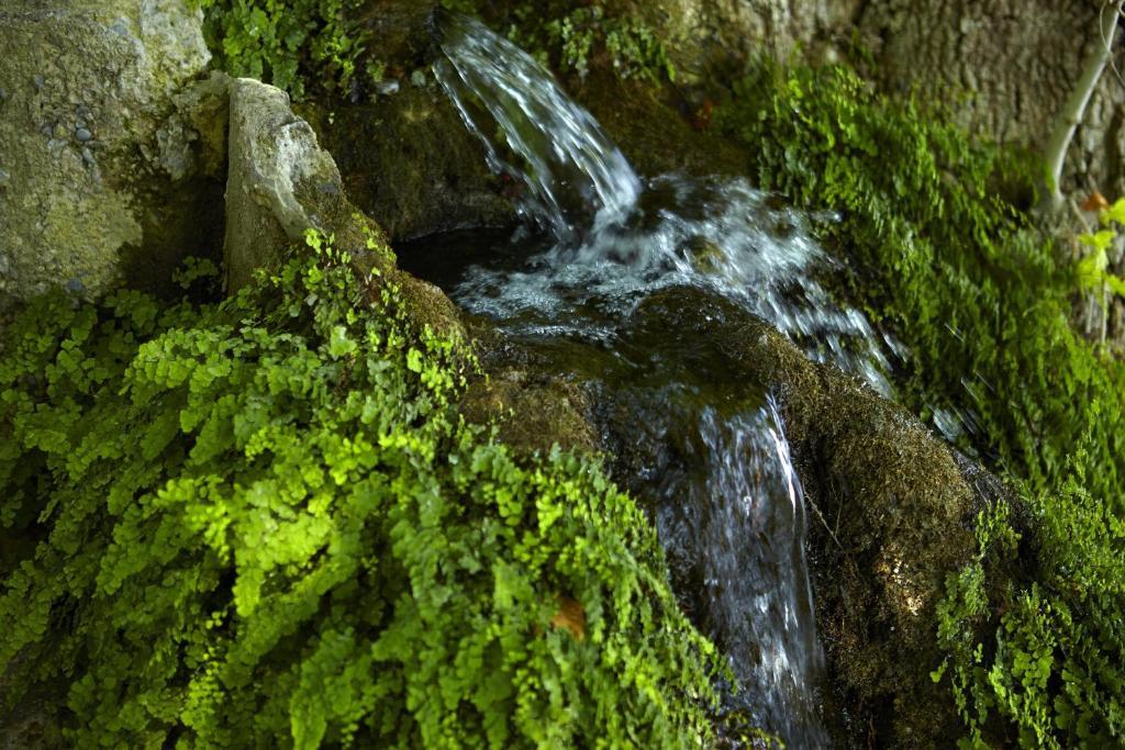Hotel Alkyonis Platamonas Zewnętrze zdjęcie