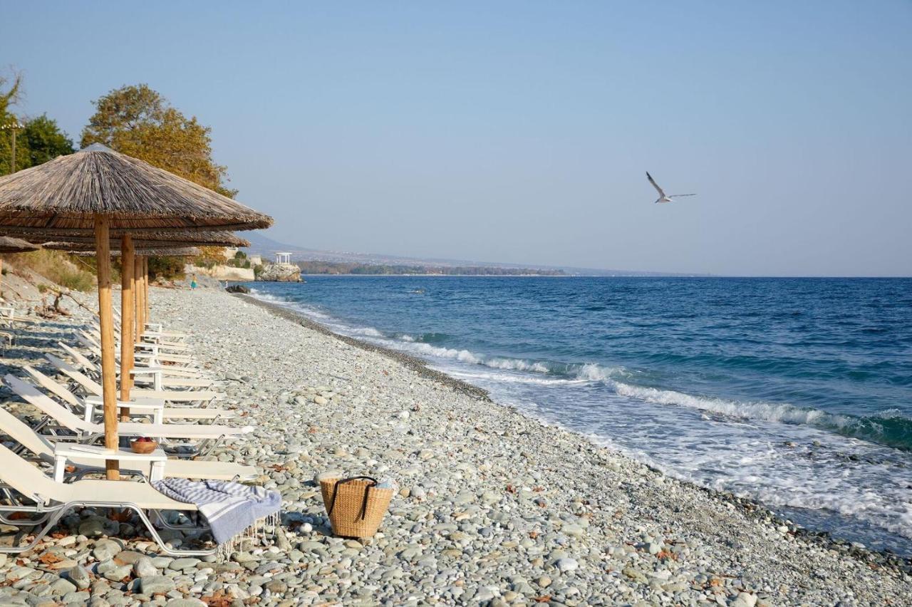 Hotel Alkyonis Platamonas Zewnętrze zdjęcie